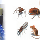 Illustration for article titled Pest control services in kr puram, pest control anti termite treatment services kr puram, bangalore : dhruva pest controlem/em